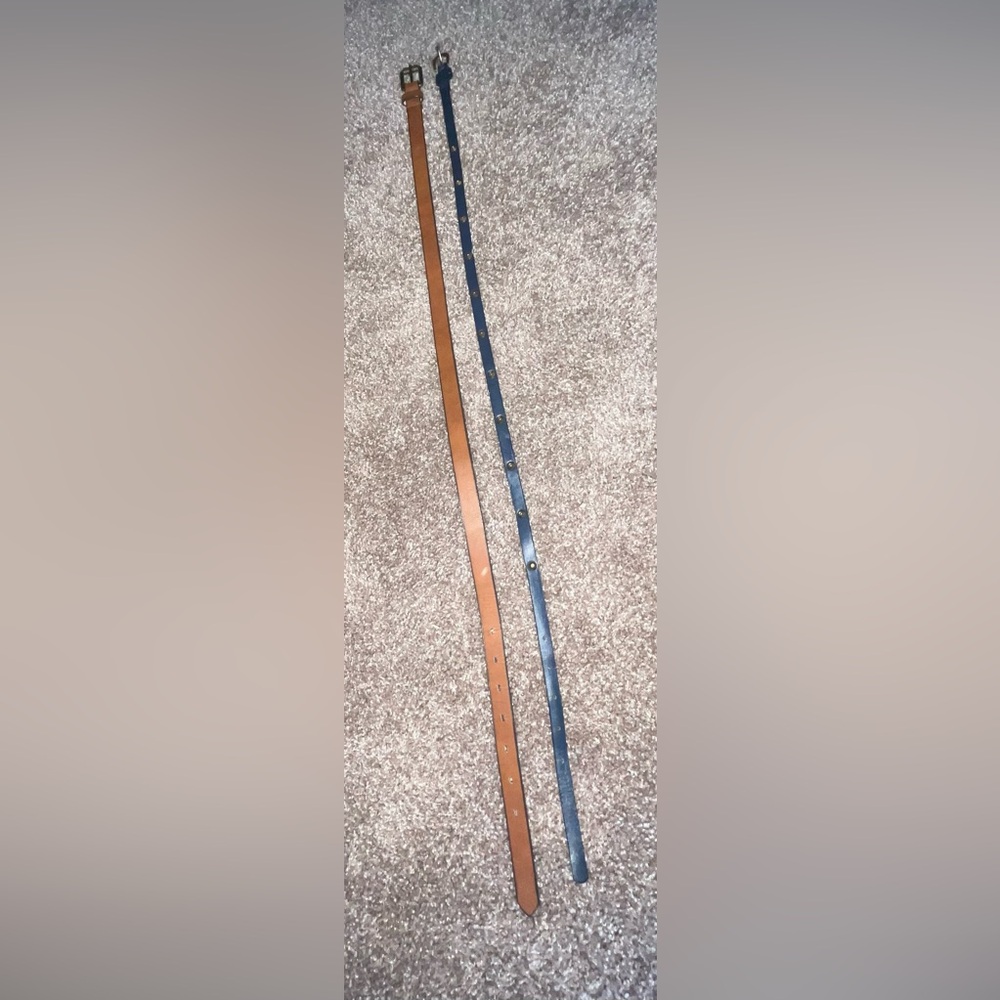 Bundle of Two Women’s Belts